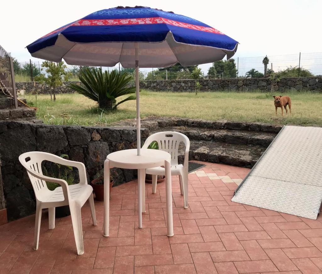Holiday House Start Point Apartment Aci Bonaccorsi Luaran gambar